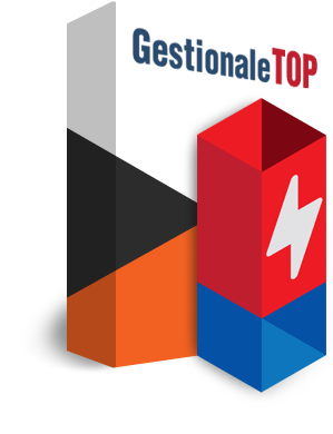 software gestionale top